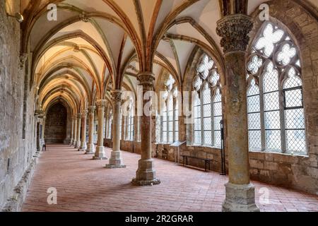 Kloster im Walkenried Zisterzienserkloster, Bad Sachsa, Harz, Harz-Nationalpark, Niedersachsen, Deutschland Stockfoto