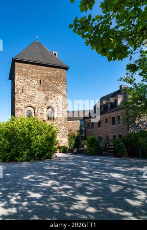 Blick auf die Oberburg von Kobern-Gondorf im Frühling, Mosel, Rheinland-Pfalz Stockfoto