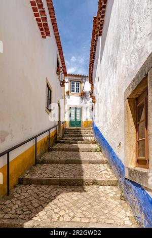 Eine mit Blumen gesäumte Treppe führt zu einem Eingang mit einer alten Tür in der Altstadt von Obidos, Portugal Stockfoto