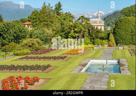 Garten der Villa Taranto am Lago Maggiore, Pallanza, Piemont, Italien Stockfoto