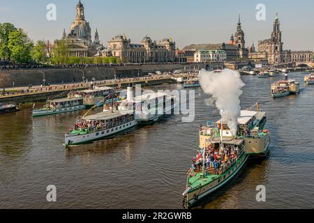 Dampfschiffe auf der Elbe während der jährlichen Flottenparade in Dresden, Sachsen Stockfoto