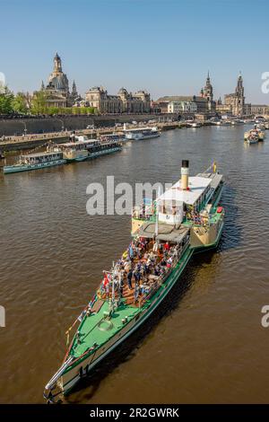 Dampfschiffe auf der Elbe während der jährlichen Flottenparade in Dresden, Sachsen Stockfoto