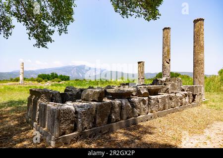 Heraion von Samos, Blick vom Südgebäude. Auf einem großen Tempel mit Säule, archäologische Stätte des antiken Heiligtums der griechischen Göttin Hera in Ireon auf Sa Stockfoto