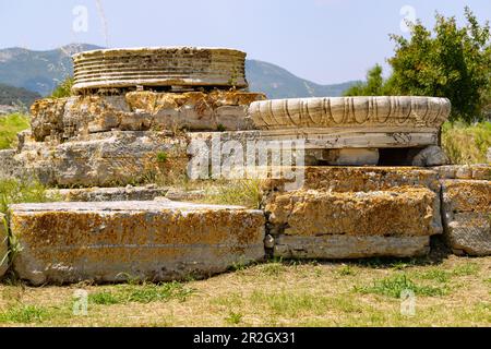 Heraion von Samos, großer Tempel mit Säulentrommeln, archäologische Stätte des antiken Heiligtums der griechischen Göttin Hera in Ireon auf der Insel Sam Stockfoto