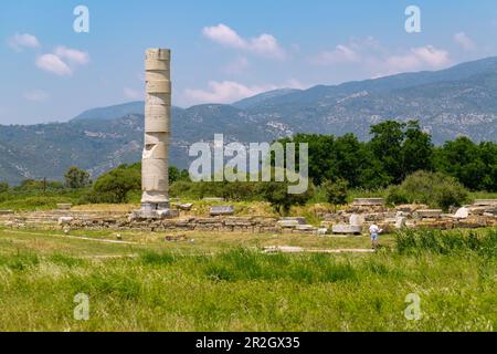 Heraion von Samos, großer säulenförmiger Tempel, archäologische Stätte des antiken Heiligtums der griechischen Göttin Hera in Ireon auf der Insel Samos in GRE Stockfoto