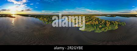 Panoramablick aus der Vogelperspektive auf das Flussboot MV Dorinha (ein traditioneller Dampfer des Amazonas), das an überflutete Bäume in Flusslandschaft in der Nähe von Manaus, Amazonas, Braz gebunden ist Stockfoto