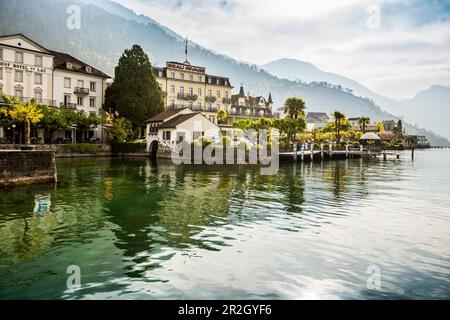 Hotels und Häuser am See, Weggis, Vierwaldstättersee, Kanton Luzern, Schweiz Stockfoto