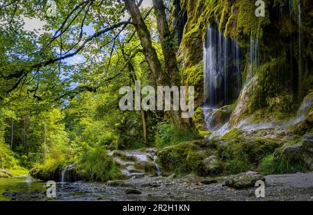 An den wilden und romantischen Schleier Falls in der Ammer-Schlucht in der Nähe von Saulgrub, Bezirk Garmisch-Partenkirchen, Bayerische Bergausläufer, Oberbayern Stockfoto