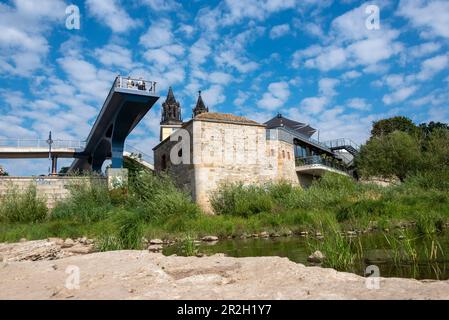 Niedrigwasser der Elbe, dahinter Fußgängerbrücke, Magdeburger Dom, Magdeburg, Sachsen-Anhalt, Deutschland Stockfoto