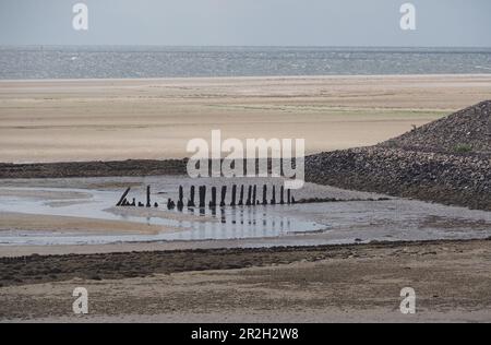 Watt vor Föhr, Wadden Sea National Park, North Friesland, Nordseeküste, Schleswig-Holstein Stockfoto