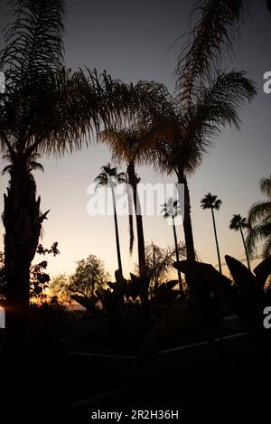 Sonnenuntergang Los Angeles Stockfoto