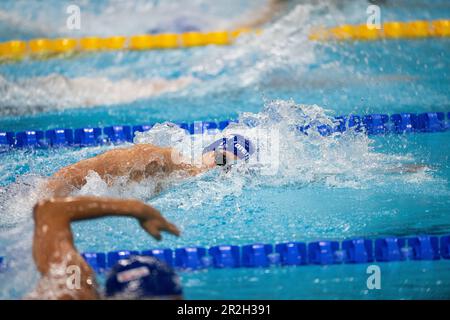 Velimir Stjepanovic (SRB) während der FINA-Weltmeisterschaft 19. in Budapest 2022, Schwimmveranstaltung am 19. Juni 2022 in Budapest, Ungarn Stockfoto