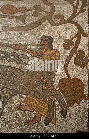 Bodenmosaiken in der Kathedrale von Otranto, Salento, Apulien, Italien Stockfoto