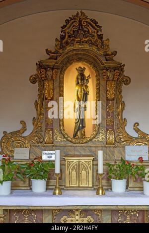 Schwarze Madonna, Königin des Friedens, ältestes Bild von Maria in der Region in der ehemaligen Klosterkirche der Karmeliten, der heutigen Pfarrkirche St. Jos Stockfoto