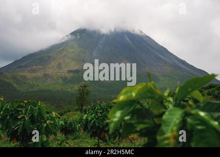 Volcan Arenal dominiert die Landschaft während des Sonnenuntergangs, aus der Sicht von Monteverde Stockfoto