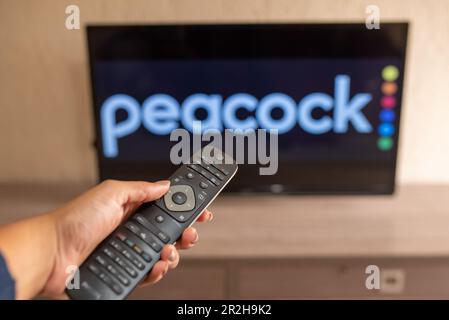 Brasilien, Rio de Janeiro - 19. Mai 2023: Nahaufnahme einer Hand mit einer Fernbedienung vor dem Peacock Logo. Stockfoto