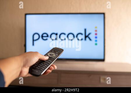 Brasilien, Rio de Janeiro - 19. Mai 2023: Nahaufnahme einer Hand mit einer Fernbedienung vor dem Peacock Logo. Stockfoto