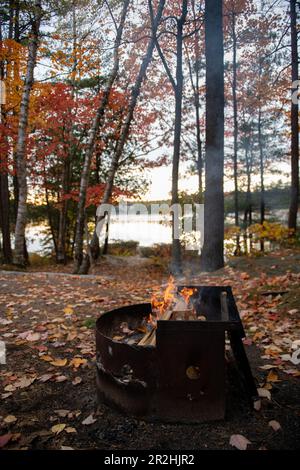 Kleine Feuerstelle auf einem Campingplatz am See im Herbst mit bunten Blättern Stockfoto