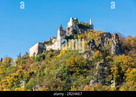 Burgruine Dürnstein in Wachau, Niederösterreich, Österreich Stockfoto