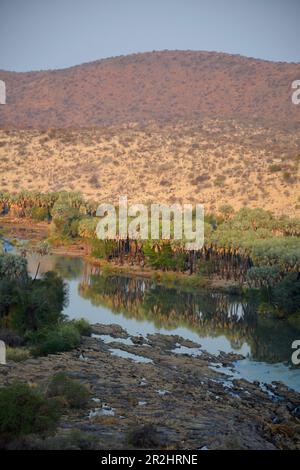 Namibia; Region Kunene; Nordnamibia; Kaokoveld; in Epupa; Kunene; karge Landschaft in der Trockenzeit; grenzt an den Fluss an Angola Stockfoto