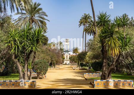 Kolumbus-Denkmal in den Murillo-Gärten Jardines de Murillo, Sevilla, Andalusien, Spanien Stockfoto