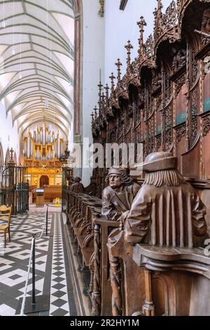 Evangelische Pfarrkirche St. Martin mit geschnitzten Chorständen in Memmingen im Unterallgäu in Bayern Stockfoto