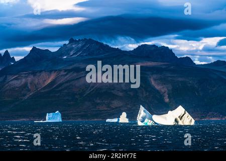 Eisberge vor der Südküste Grönlands, Labrador-See, Bezirk Qaqortoq, Gemeinde Kujalleq, Grönland Stockfoto