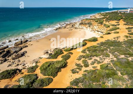 Blick über die steile Küste und die Bucht Cala del Puntalejo, Conil de la Frontera, Costa de la Luz, Andalusien, Spanien Stockfoto