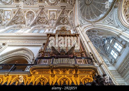 Orgel und Kuppel im Inneren der Kathedrale - Mezquita - Catedral de Cordoba in Cordoba, Andalusien, Spanien Stockfoto