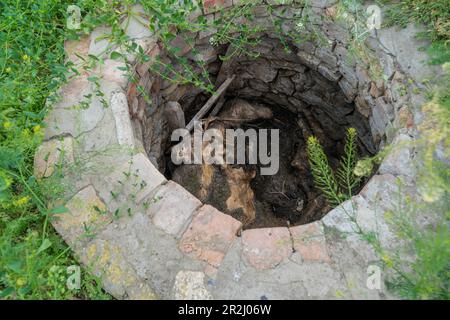 19. Mai 2023, Region Kherson, Ukraine: Schlachtkörper von getöteten Schweinen während der Besetzung der Farm Pershe Travnia des Dorfes Velyka Oleksandrivka der Region Kherson nach der Befreiung von der russischen Invasion im Inneren der Brunnen gesehen. Der Betrieb erzeugte Getreide (Weizen, Gerste, Sonnenblumen), Fleisch (Schweinefleisch) und andere Erzeugnisse; Mit 100 Beschäftigten und mehr als 3.000 Hektar Ackerfläche, mehr als 1200 Schweinen. Der Betrieb wurde vollständig zerstört, die gesamte Ausrüstung, die Ernte von 2021, der Dünger, alle Gebäude einschließlich Getreidelager und Orte, an denen Schweine gehalten und gefüttert wurden. Nach dem Bombenanschlag wurden Schweine entweder lebendig verbrannt, einige Stockfoto