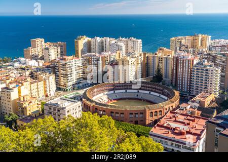 Wolkenkratzer und Stierkampfarena von oben gesehen, Malaga, Andalusien, Spanien Stockfoto