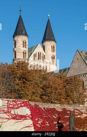 Kloster unserer Lieben Frau im Herbst, Kunstmuseum, Magdeburg, Sachsen-Anhalt, Deutschland Stockfoto