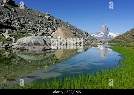 Blick auf das Matterhorn vom Wanderweg auf dem Pfulwe, Fluhalp, Zermatt, Valais, Schweiz. Stockfoto
