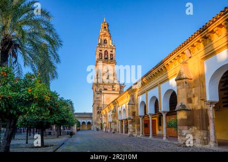 Die Moschee (Mezquita) und die Kathedrale von Cordoba und die umliegende Galerie, UNESCO-Weltkulturerbe, Cordoba, Andalusien, Spanien, Europa Stockfoto