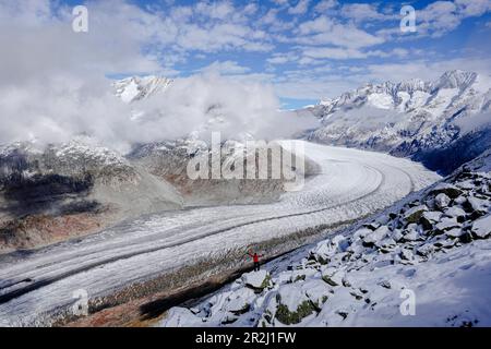 Wanderer bewundern den Aletsch-Gletscher vom Aussichtspunkt auf Felsen, UNESCO-Weltkulturerbe, Berner Alpen, Kanton Valais, Schweiz, Europa Stockfoto