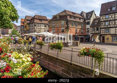 Altstadt und Schwendi-Brunnen in Colmar, Elsass, Frankreich Stockfoto