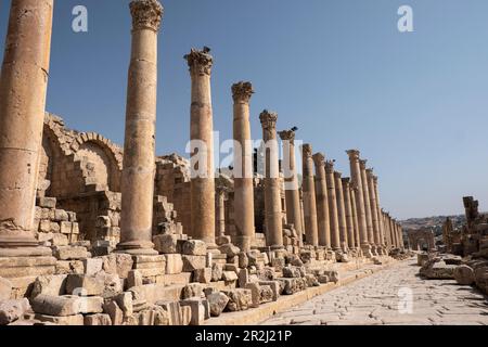 Antike römische Straße mit Kolonnaden in der archäologischen Stätte Jerash, Jordanien, Naher Osten Stockfoto