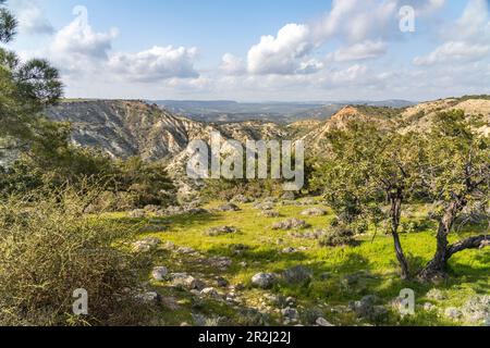 Landschaft am Cape Aspro in der Nähe von Pissouri, Zypern, Europa Stockfoto