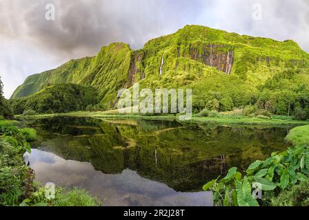 Panoramaaufnahme des Poco da Ribeira do Ferreiro Sees und Wasserfalls mit einer Seite der Berge bedeckt von Blumen und Vegetation Stockfoto
