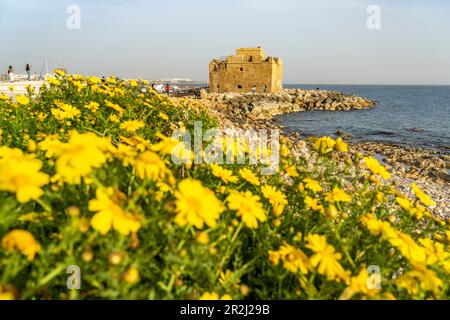 Die mittelalterliche Burg im Hafen von Paphos, Zypern, Europa Stockfoto