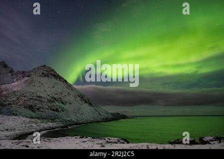 Aurora Borealis (Nordlichter) über dem Berg Skoytneset und Mefjorden im Winter, nahe Mefjordvaer, Senja, Troms Og Finnmark County, Norwegen Stockfoto