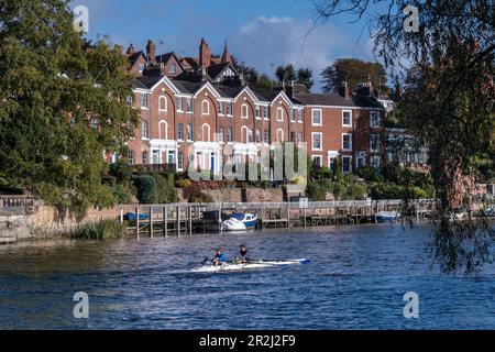 Ruderer auf dem Fluss Dee vorbei an Deva Terrace, Chester, Cheshire, England, Großbritannien, Europa Stockfoto