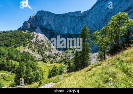 Suissensee am Schafberg, Salzkammergut, Österreich Stockfoto