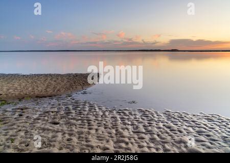 Abenddämmerung über dem Wattenmeer vor Utersum, Insel Foehr, Schleswig-Holstein, Deutschland Stockfoto