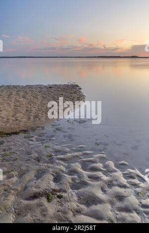 Abenddämmerung über dem Wattenmeer vor Utersum, Insel Foehr, Schleswig-Holstein, Deutschland Stockfoto