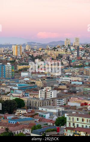 Erhöhte Aussicht auf Häuser im Stadtzentrum bei Dämmerung, Valparaiso, Valparaiso Province, Valparaiso Region, Chile, Südamerika Stockfoto