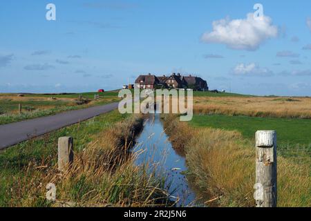 Westerwarft am Hallig Hooge, Wadden Sea National Park, North Friesland, Nordseeküste, Schleswig-Holstein Stockfoto