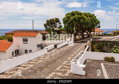 Kopfsteinpflasterstraße mit Häusern und Bäumen in der malerischen Stadt Lajes das Flores auf der Insel Flores, Azoren Stockfoto