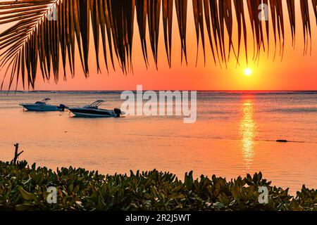 Fantastischer Sonnenuntergang mit Palmen und Booten an der Küste von Le Morne im Süden der Insel Mauritius im Indischen Ozean Stockfoto