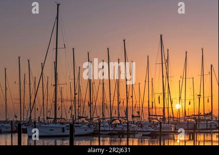 Segelboote im Jachthafen bei Sonnenaufgang, Heiligenhafen, Ostsee, Ostholstein, Schleswig-Holstein, Deutschland Stockfoto